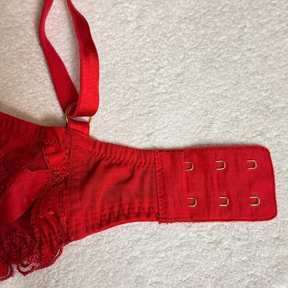 GORGEOUS Victoria's Secret 32DDD Very Sexy Red Floral Lace Appliqué Plunge Bra - Picture 6 of 8